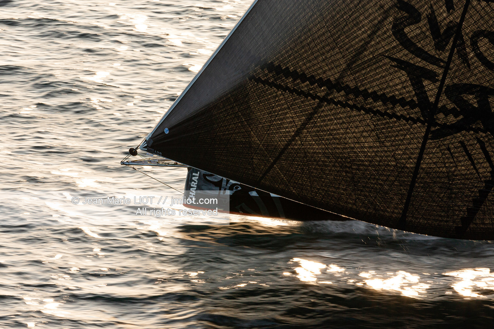 JEREMIE BEYOU - CHRISTOPHER PRATT - CHARAL