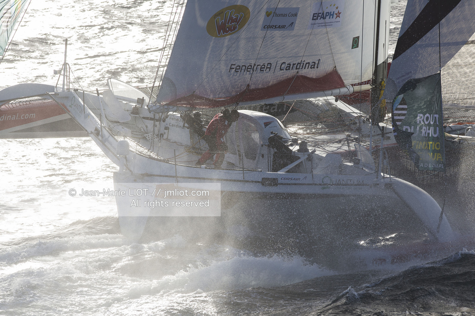 ROUTE DU RHUM 2014 - MULTI 50 FENETREA CARDINAL - ERWAN LE ROUX