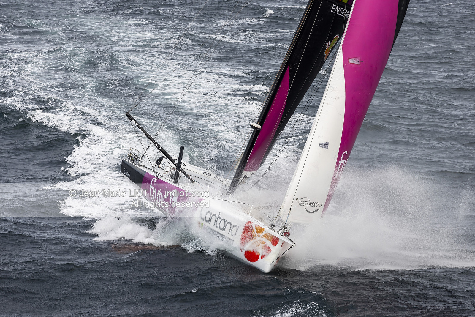 LOUIS DUC 2022 - ROUTE DU RHUM