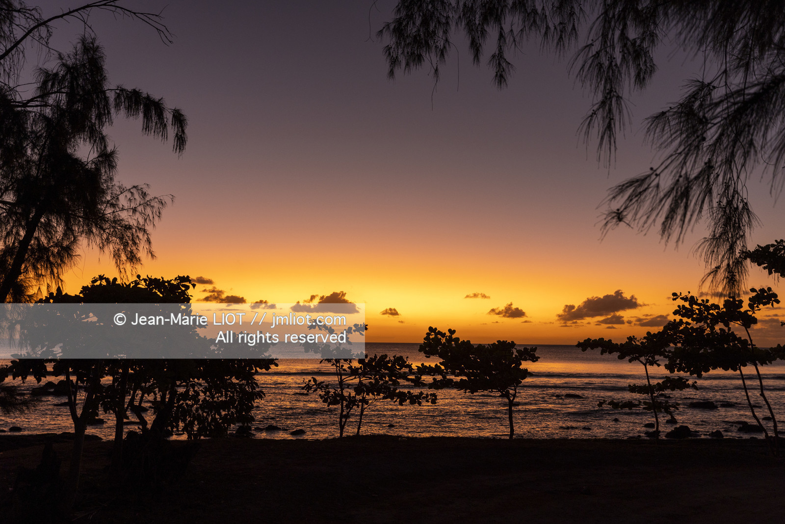 GLOBE40 - ILE MAURICE