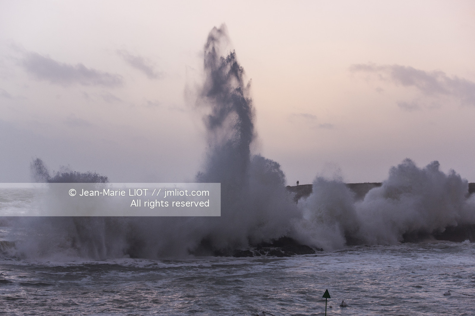 TEMPETE JANVIER 2014