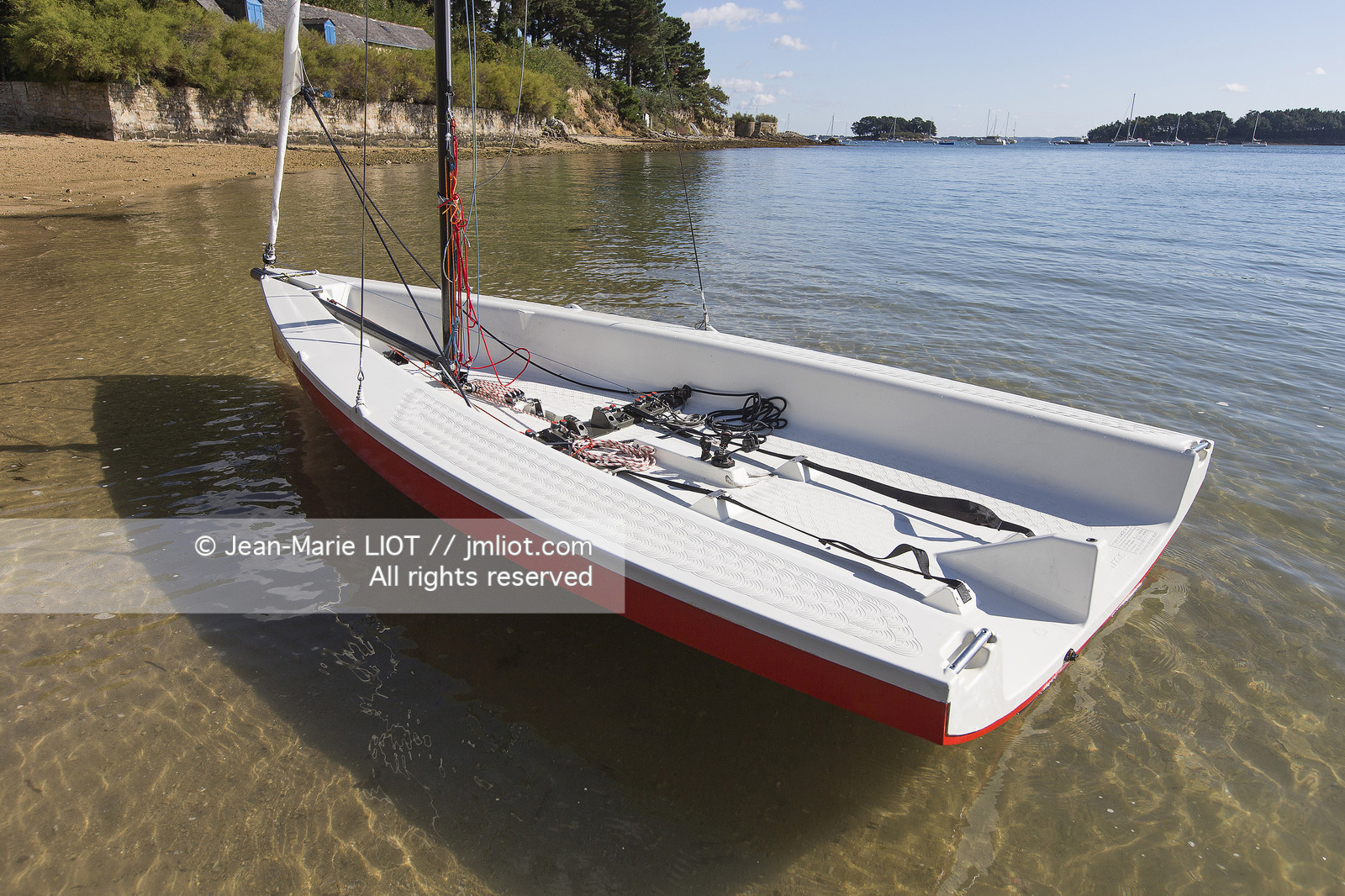 L'ALBATROS - JEAN-MARIE FINOT