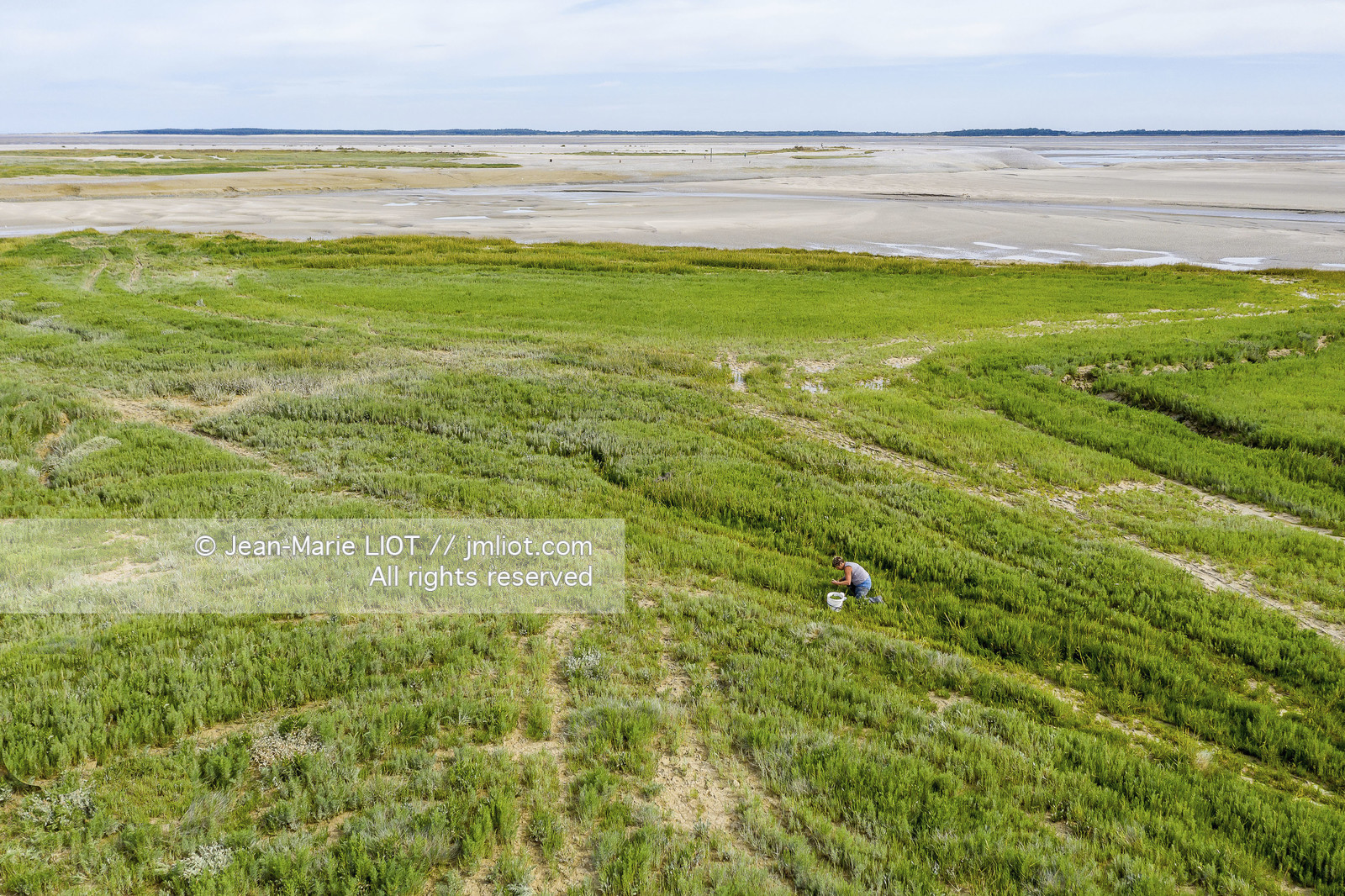 BAIE DE SOMME - 2020