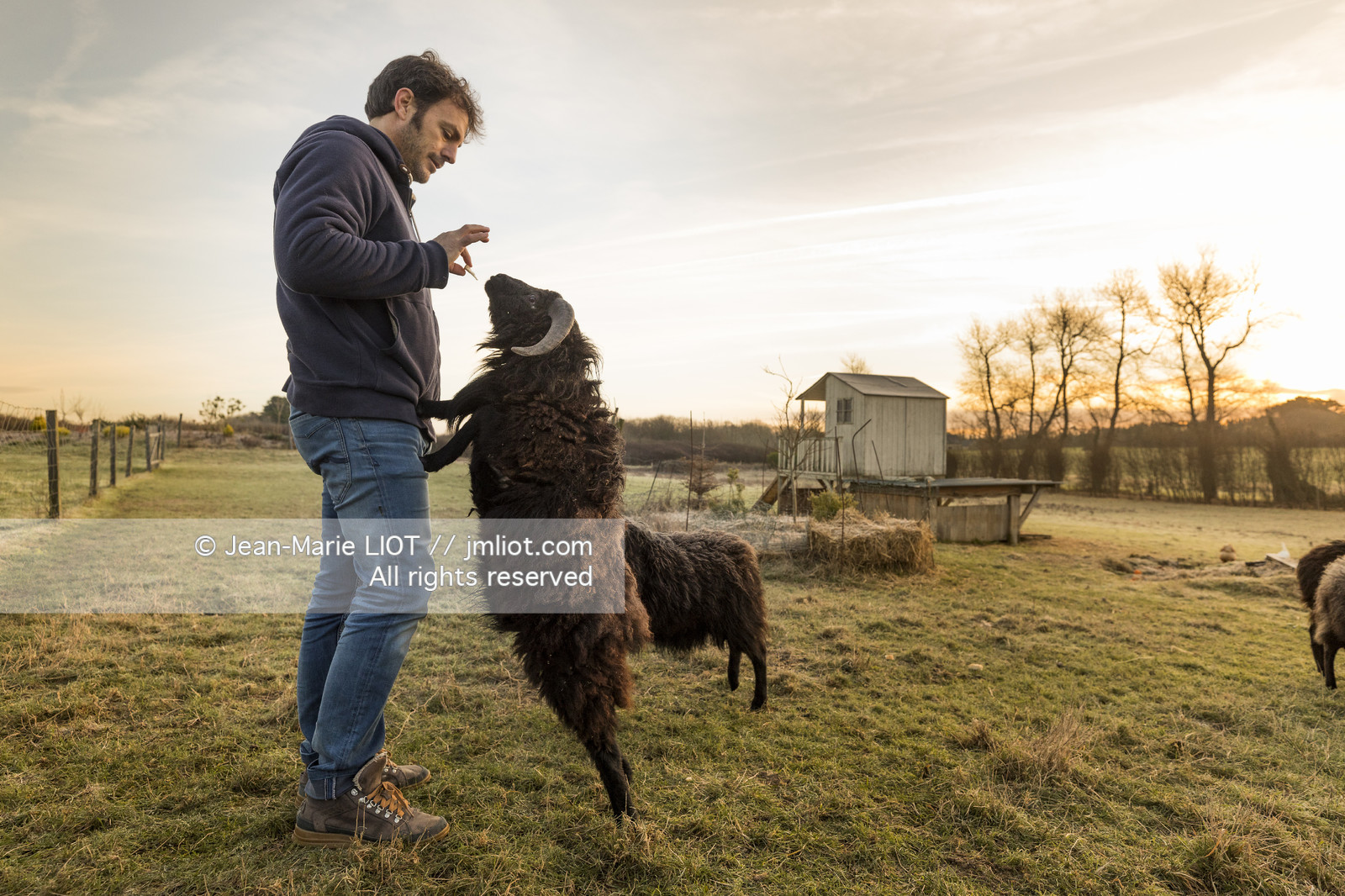 ERIC PERON - WILD LIFE