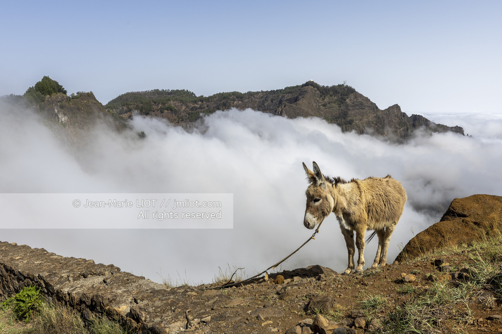 CAP VERT - SANTO ANTAO