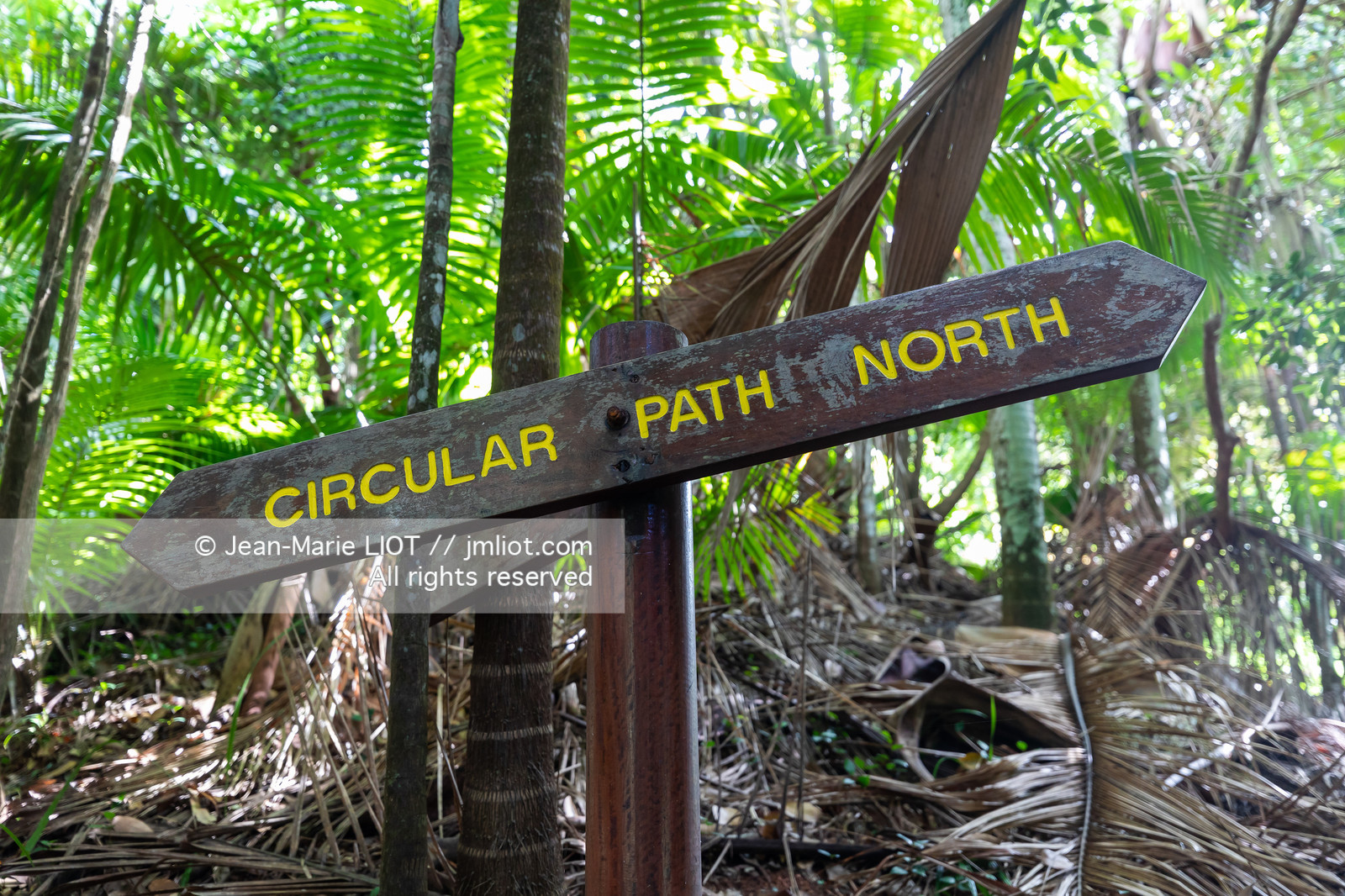 CROISIERE AUX ILES SEYCHELLES