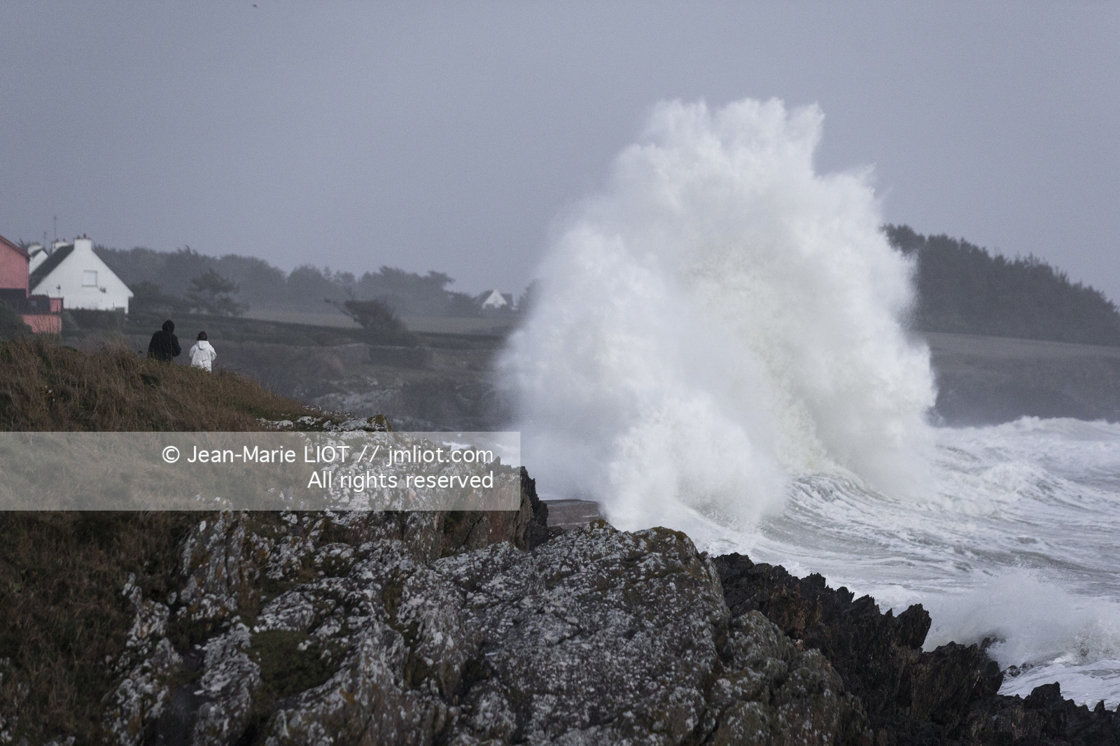 TEMPETE JANVIER 2014