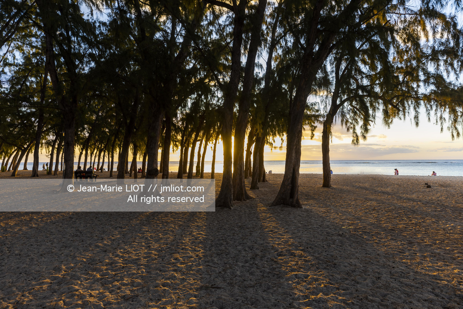 GLOBE40 - ILE MAURICE