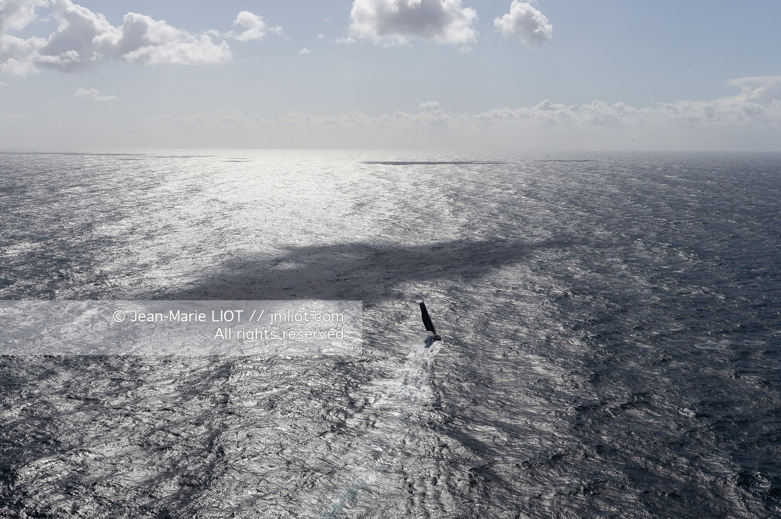 BORIS HERRMANN 2020 - Team malizia