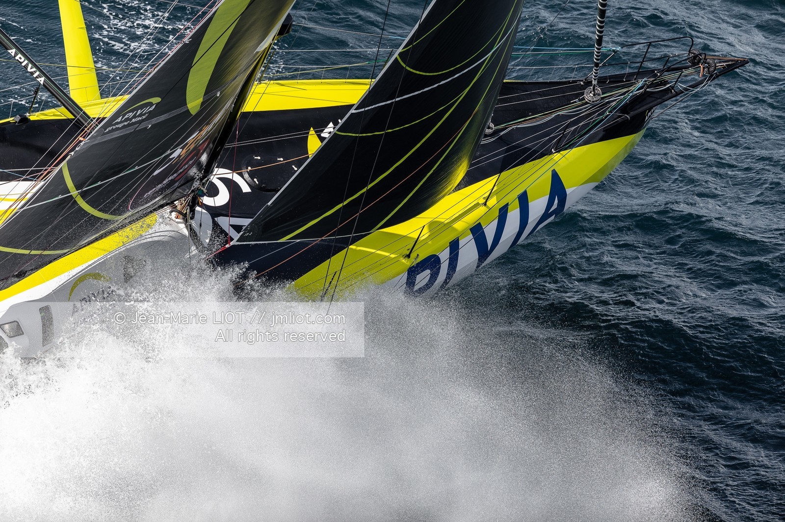 CHARLIE DALIN 2020 - APIVIA