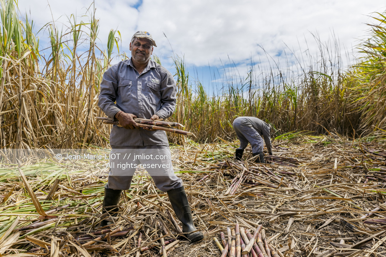 GLOBE40 - ILE MAURICE