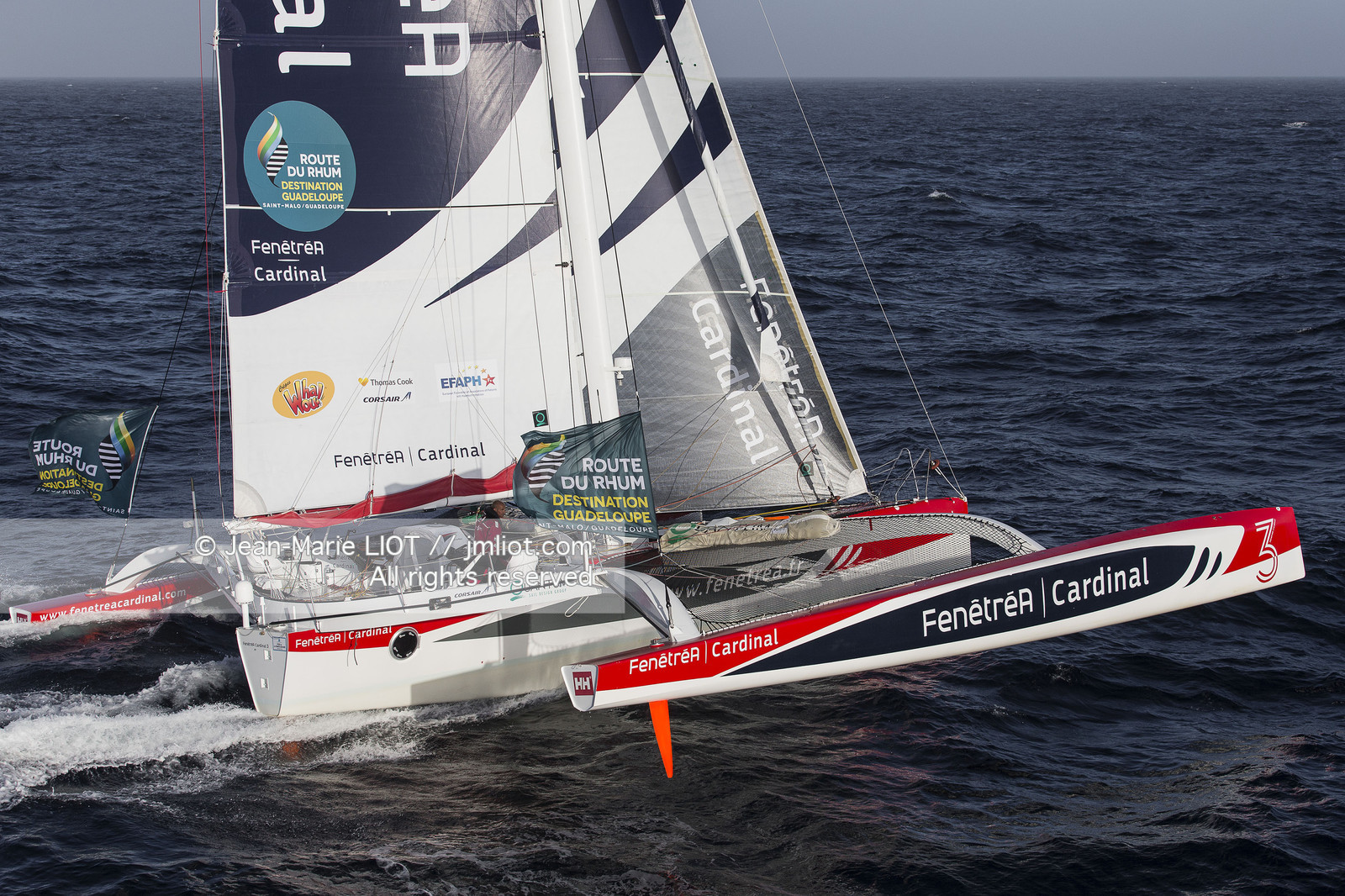 ROUTE DU RHUM 2014 - MULTI 50 FENETREA CARDINAL - ERWAN LE ROUX