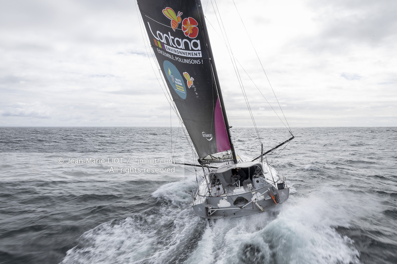 LOUIS DUC 2022 - ROUTE DU RHUM