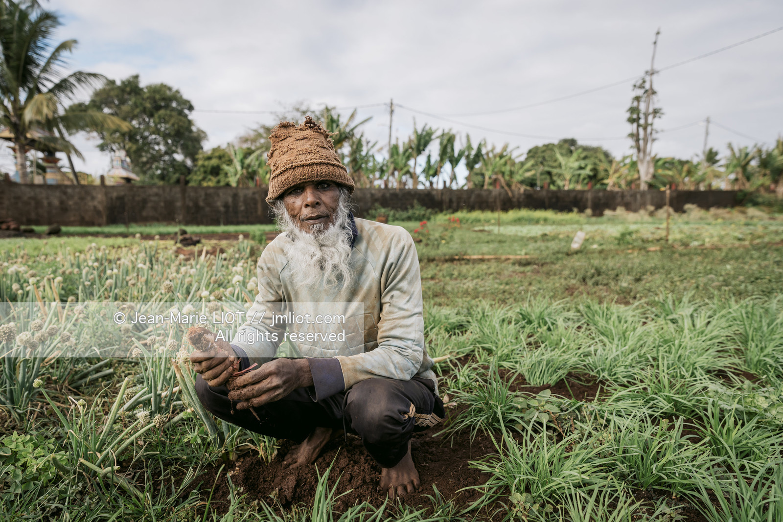 GLOBE40 - ILE MAURICE