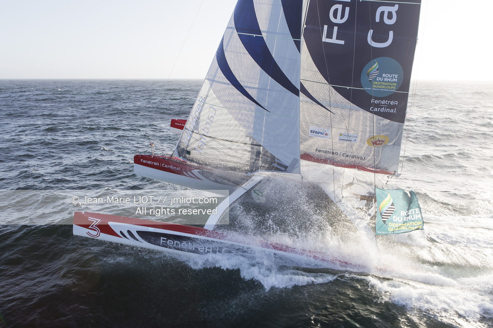 ROUTE DU RHUM 2014 - MULTI 50 FENETREA CARDINAL - ERWAN LE ROUX