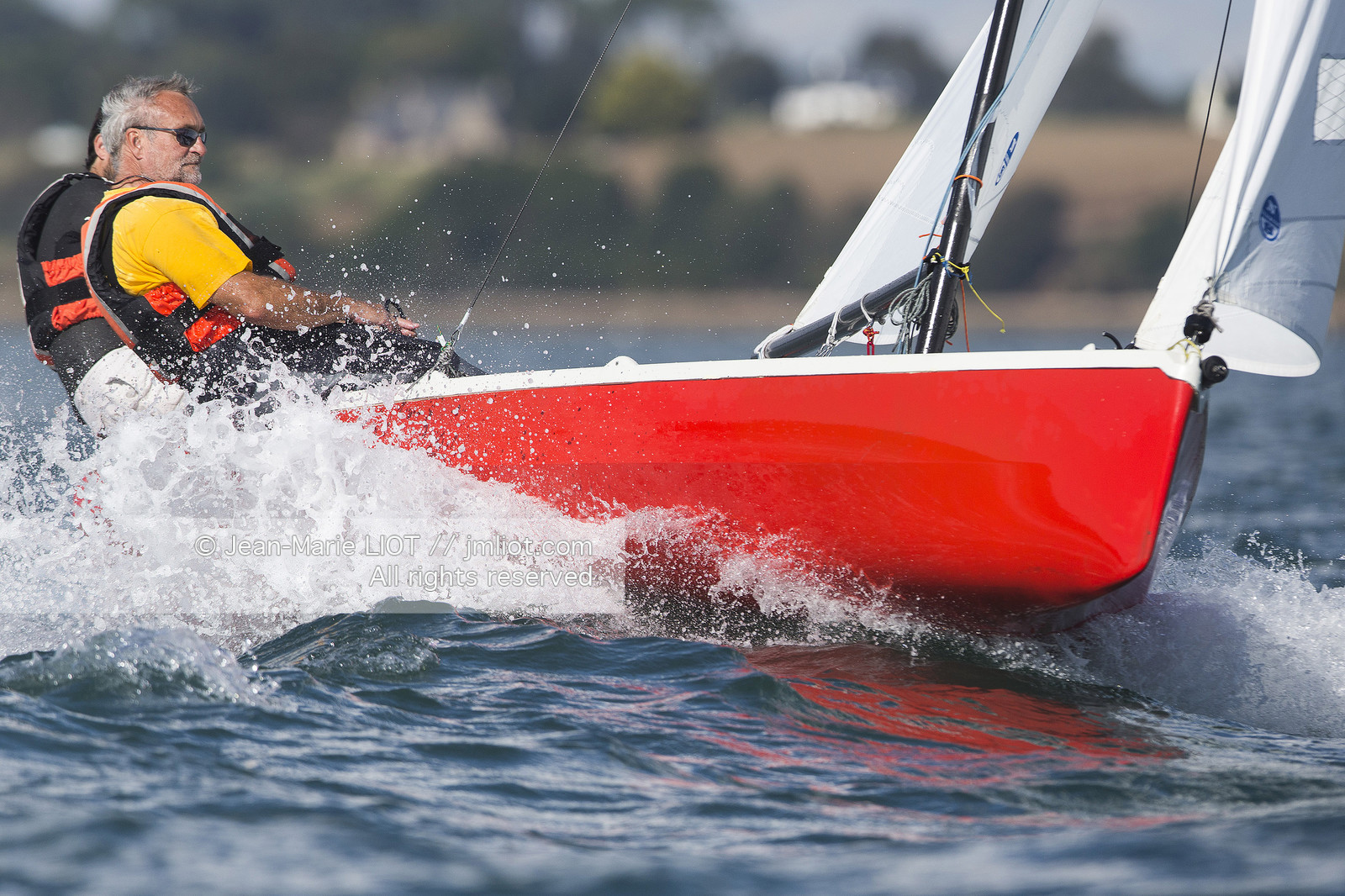 L'ALBATROS - JEAN-MARIE FINOT