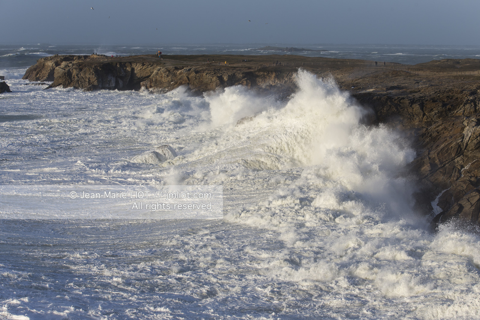 TEMPETE JANVIER 2014